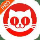 猫眼专业版app苹果版下载 v3.8.0 官方版