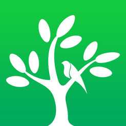 呼唤森林苹果版 v2.3.1 iphone版