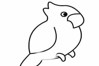 qq画图红包鹦鹉如何画 鹦鹉的简单画法