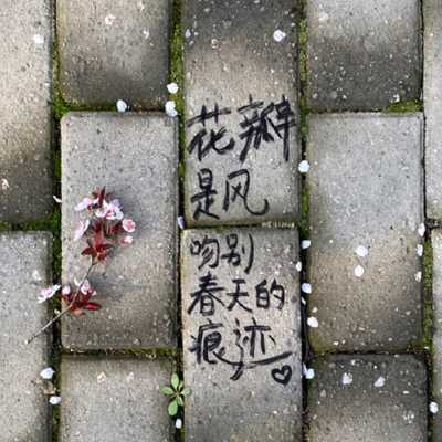 很戳又很治愈的街边诗歌图片 花瓣是风吻别春天的痕迹