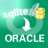 SqliteToOracle(Sqlite导入Oracle软件) V2.5官方版